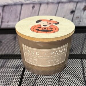 Sand + Paws Pumpkin Harvest Candle